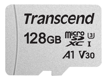 Bild på Transcend 300S
