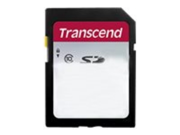 Bild på Transcend 300S