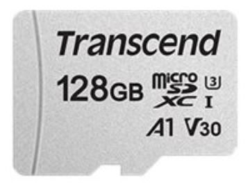 Bild på Transcend 300S