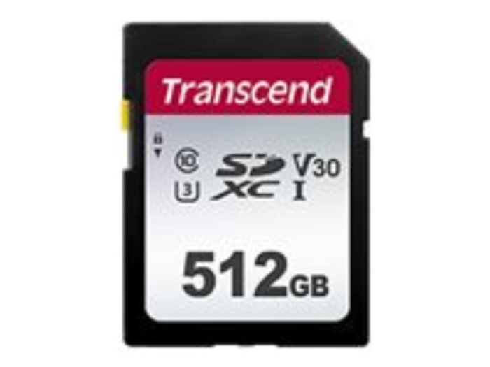 Bild på Transcend 300S