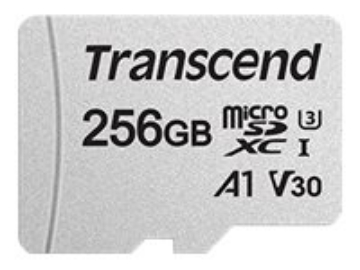 Bild på Transcend 300S