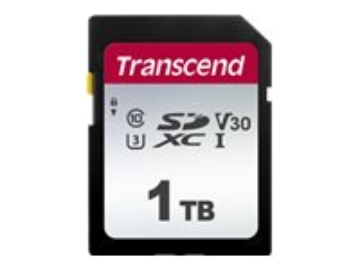 Bild på Transcend 300S