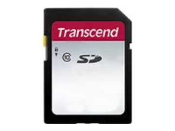 Bild på Transcend 300S