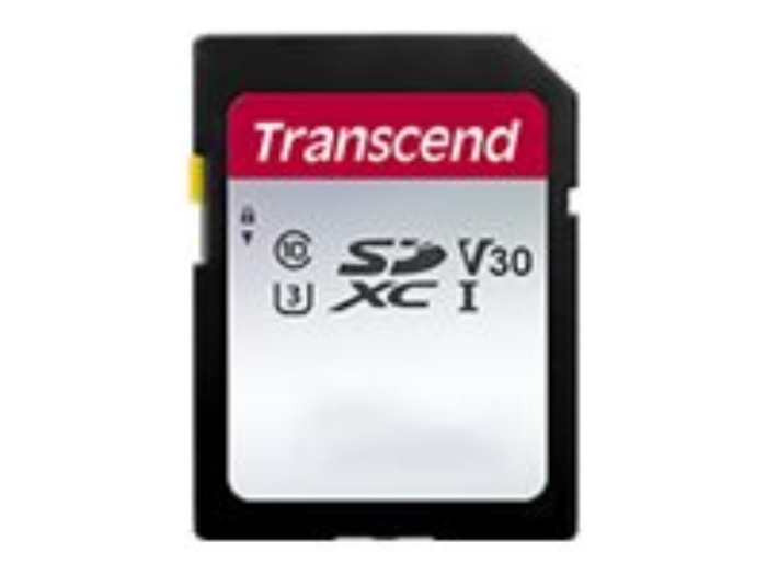 Bild på Transcend 300S