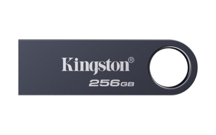 Bild på KINGSTON 256GB DATATRAVELER SE9 G3 KE-U2X256-1AC