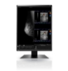 Bild på EIZO 5MP 21 IN LED-TFT RX560