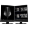 Bild på EIZO 5MP 21 IN LED-TFT RX560