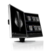 Bild på EIZO 5MP 21 IN LED-TFT RX560