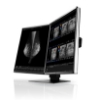 Bild på EIZO 5MP 21 IN LED-TFT RX560
