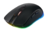 Bild på CHERRY CHERRY M50 BLACK WIRELESS MOUSE JW-5000-2