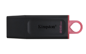 Bild på KINGSTON 256GB DT EXODIA USB 3.2 GEN 1 DTX/256GB