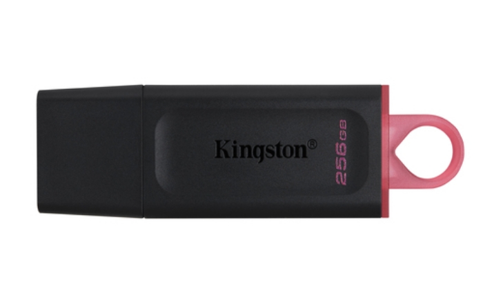 Bild på KINGSTON 256GB DT EXODIA USB 3.2 GEN 1 DTX/256GB