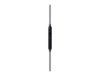 Bild på SAMSUNG SAMSUNG EARPHONES TYPE-C BLACK EO-IC100BBEGEU