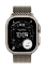 Bild på APPLE 49MM NATURAL TITANIUM MILANESE MGHP4ZM/A