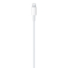 Bild på APPLE USB-C TO LIGHTNING CABLE (1M) MUQ93ZM/A