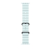 Bild på APPLE 49MM ICEBLUE OCEANBAND - BLACK MYP83ZM/A