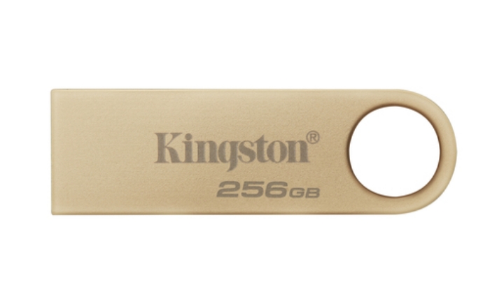 Bild på KINGSTON 256GB DT USB 3.2 220MB/S GEN 1 DTSE9G3/256GB