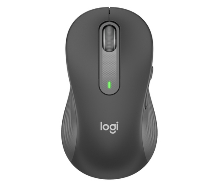 Bild på LOGITECH M650 L WRLS - GRAPHITE 910-006239