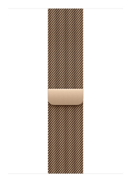 Bild på APPLE 46MM GOLD MILANESELOOP - S/M MGJ44ZM/A