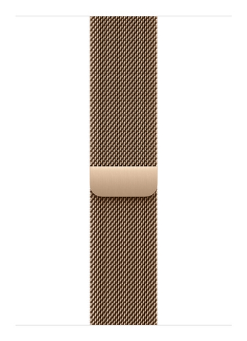 Bild på APPLE 46MM GOLD MILANESELOOP - S/M MGJ44ZM/A