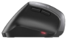 Bild på CHERRY CHERRY MW 4500 ERGO MOUSE LEFT JW-4550