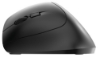 Bild på CHERRY CHERRY MW 4500 ERGO MOUSE LEFT JW-4550