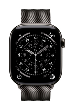 Bild på APPLE 46MM SLATE MILANESELOOP - M/L MGJ74ZM/A