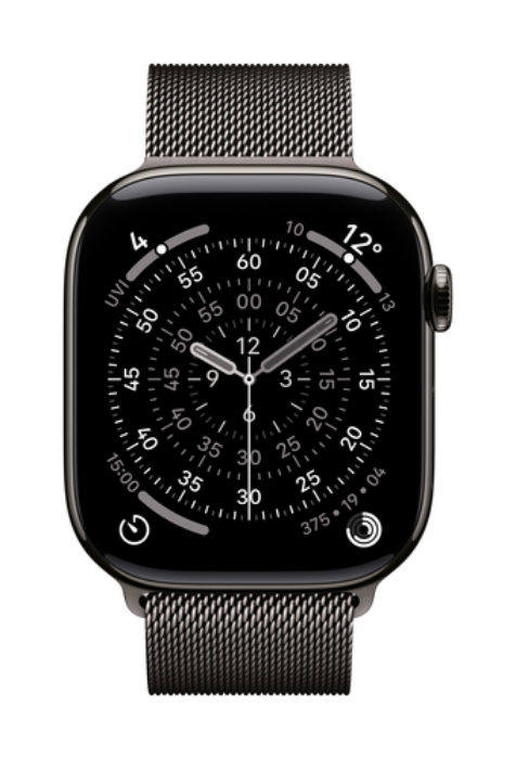 Bild på APPLE 46MM SLATE MILANESELOOP - S/M MGJ64ZM/A