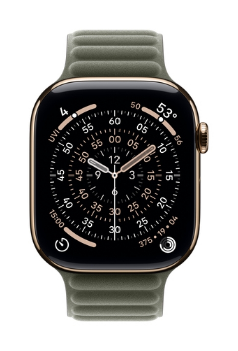 Bild på APPLE 46MM SAGE GRAY MAGNETIC LINK - MGDK4ZM/A
