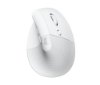 Bild på LOGITECH LIFT FOR MAC VERTICAL ERGOMOUSE 910-006477