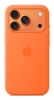 Bild på APPLE IPHONE 17 PRO SI CASE MGFE4ZM/A