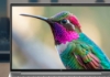 Bild på HP INC. HP PB4G2I16AI C5-320 16 PC DX0M1AT#UUW