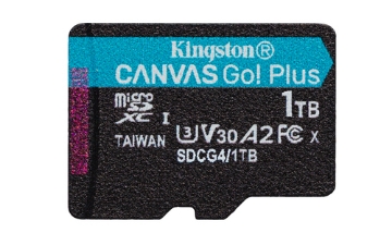 Bild på KINGSTON 1TB MSDXC CANVAS GO PLUS 200R SDCG4/1TBSP