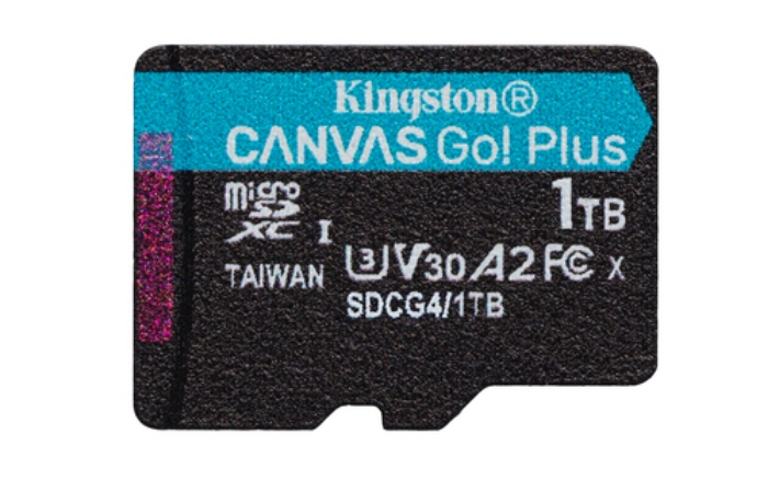 Bild på KINGSTON 1TB MSDXC CANVAS GO PLUS 200R SDCG4/1TBSP
