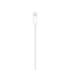 Bild på APPLE LIGHTNING TO USB CABLE (1M) MUQW3ZM/A