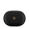 Bild på APPLE BEATS STUDIO BUDS + - TRUE MQLH3DN/A