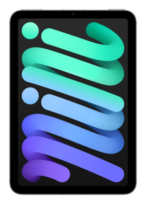 Bild på APPLE IPAD MINI WI-FI + CELLULAR MXPN3KN/A