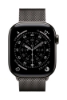 Bild på APPLE 42MM SLATE MILANESE LOOP MXMP3ZM/A