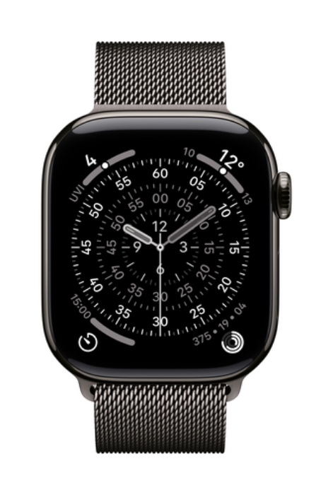 Bild på APPLE 42MM SLATE MILANESE LOOP MXMP3ZM/A