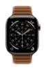 Bild på APPLE 46MM CARAMEL MAGNETIC LINK - MGDG4ZM/A