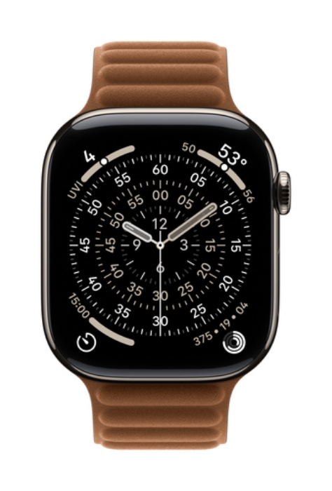 Bild på APPLE 46MM CARAMEL MAGNETIC LINK - MGDG4ZM/A