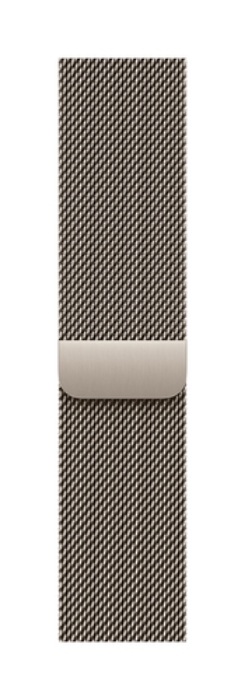 Bild på APPLE 49MM NATURAL TITANIUM MILANESE MXKE3ZM/A