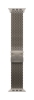 Bild på APPLE 49MM NATURAL TITANIUM MILANESE MGHQ4ZM/A