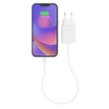 Bild på MOPHIE MOPHIE ESSENTIALS POWER ADAPTER 409911856