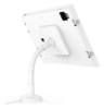 Bild på COMPULOCKS IPAD AIR M2 AND M3 13IN APEX 159W13APXW