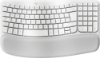 Bild på LOGITECH WAVE KEYS FOR MAC WRLS ERGO 920-012404