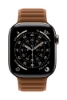 Bild på APPLE 42MM CARAMEL MAGNETIC LINK - MGD84ZM/A
