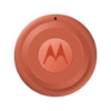 Bild på MOTOROLA MOTOROLA TAG 2 1-PACK PG38C08027
