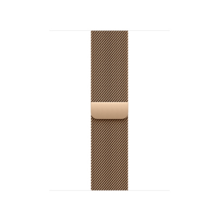 Bild på APPLE 40MM GOLD MILANESE LOOP MAXL4ZM/A
