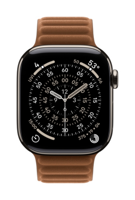 Bild på APPLE 42MM CARAMEL MAGNETIC LINK - MGD94ZM/A